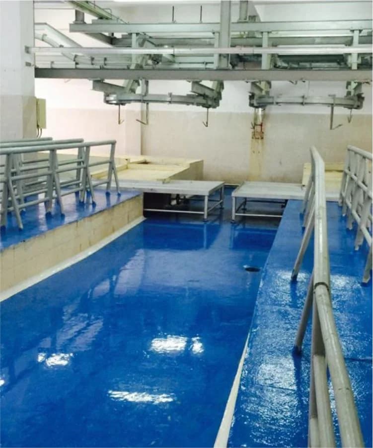 Sheep and Goat processing facility, Anmol Group