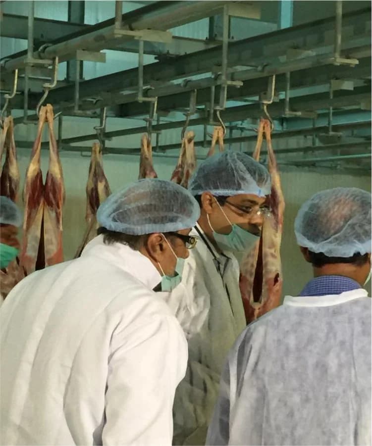 Sheep and Goat processing facility, Anmol Group