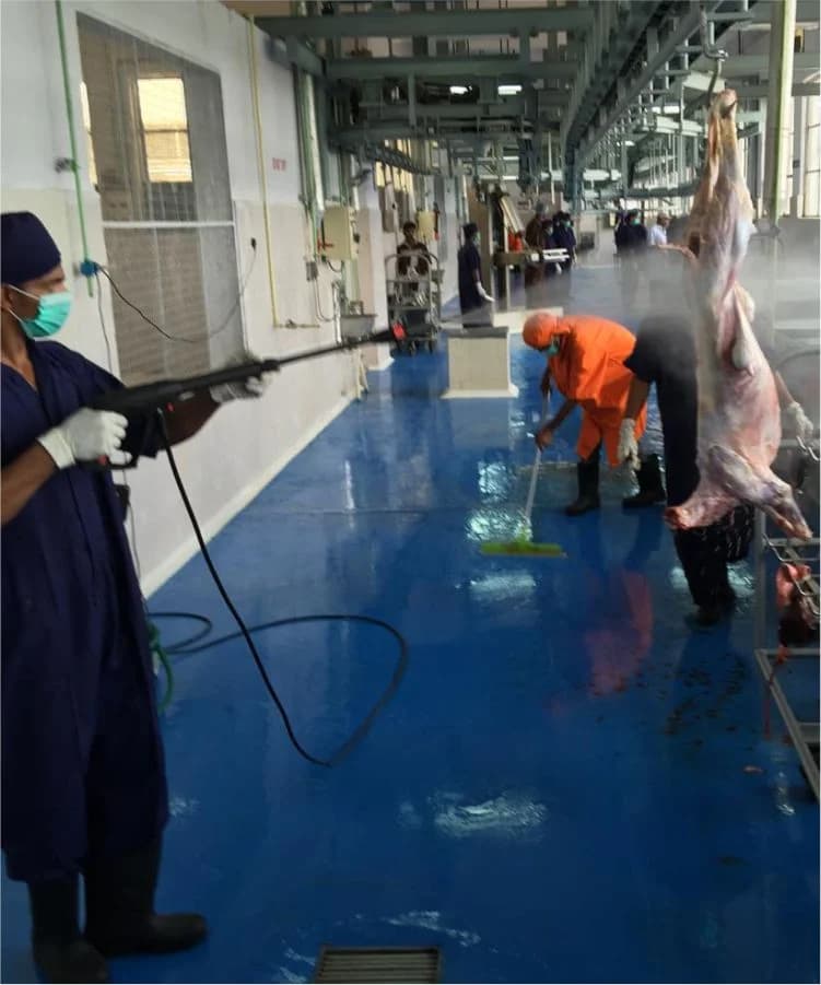 Sheep and Goat processing facility, Anmol Group
