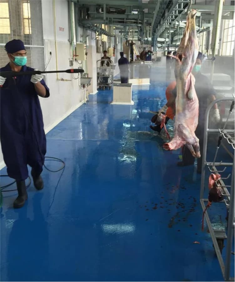 Sheep and Goat processing facility, Anmol Group