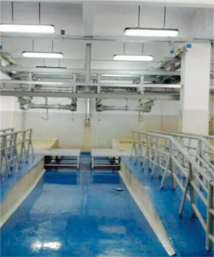 Sheep and Goat processing facility, Anmol Group