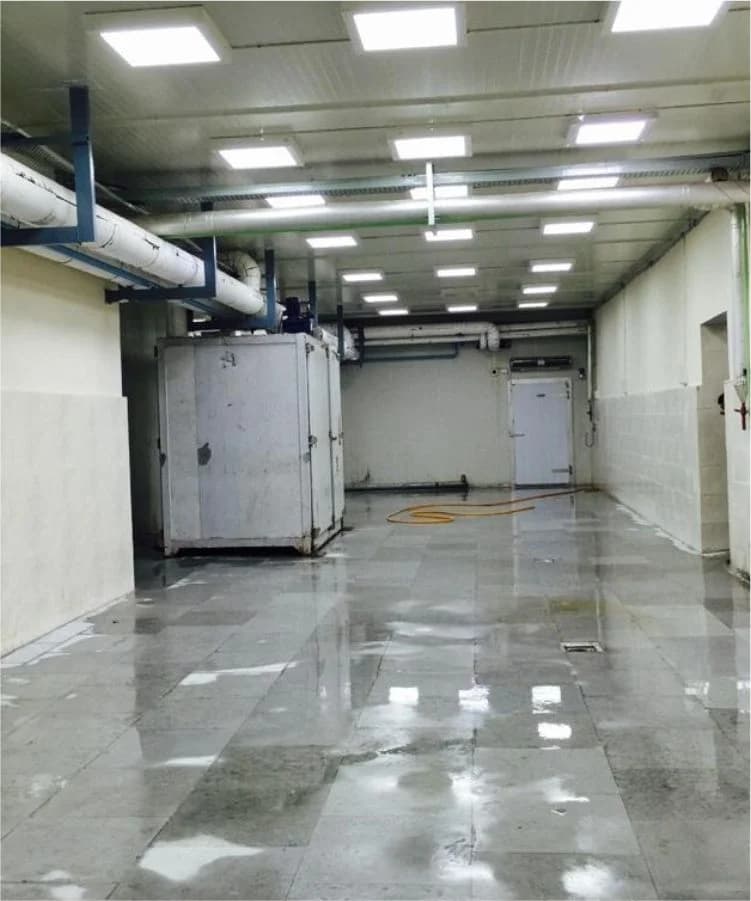 Sheep and Goat processing facility, Anmol Group
